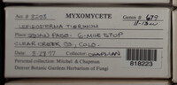 Image Associated With the Occurence
